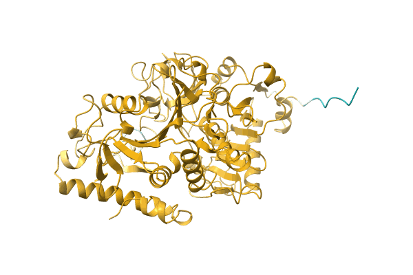 AF-O43112-F1 image