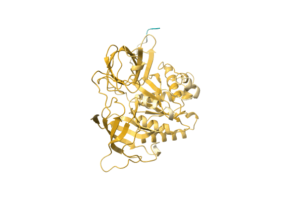AF-O50340-F1 image