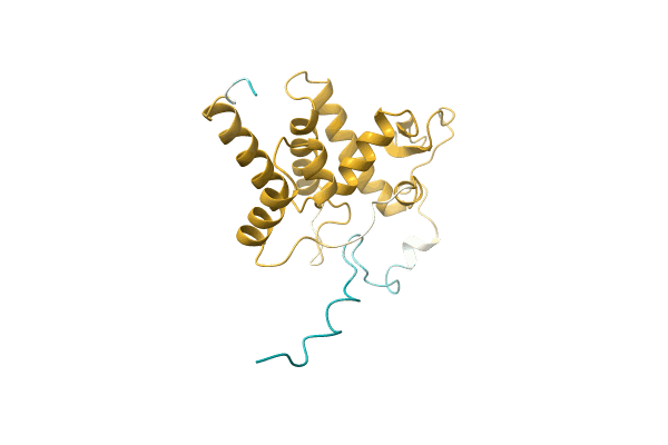 AF-O52222-F1 image