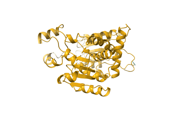 AF-O53089-F1 image