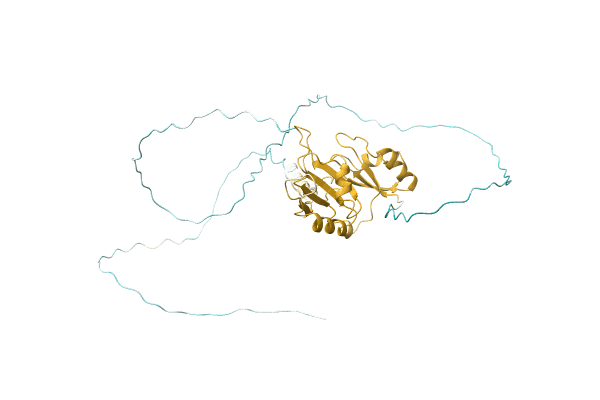 AF-O61374-F1 image