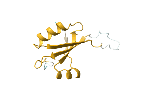 AF-O62961-F1 image