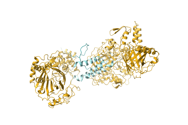 AF-O77206-F1 image