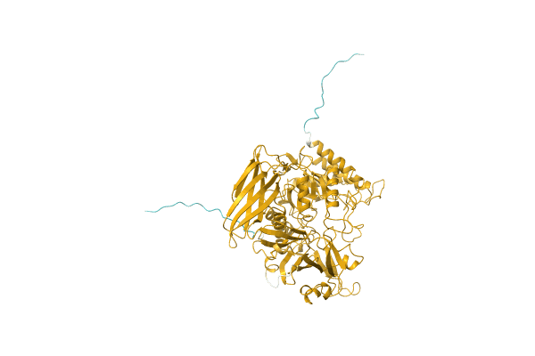 AF-O77695-F1 image