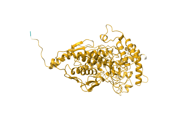AF-O81959-F1 image