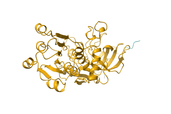 AF-O82035-F1 image