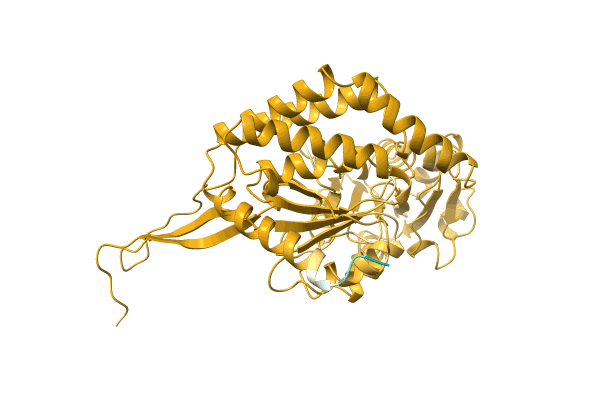 AF-O86053-F1 image