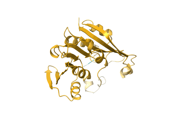AF-O86262-F1 image