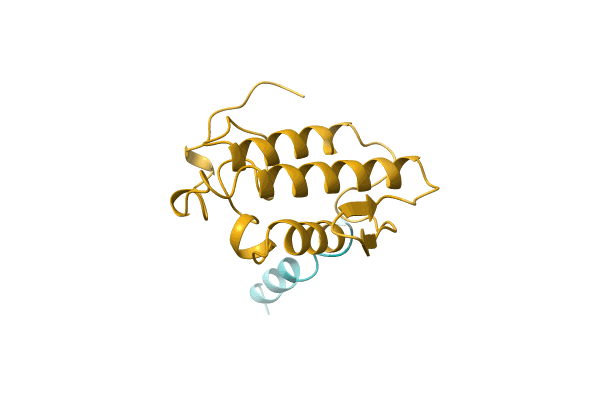AF-P0C616-F1 image