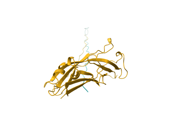 AF-P0C8Z8-F1 image