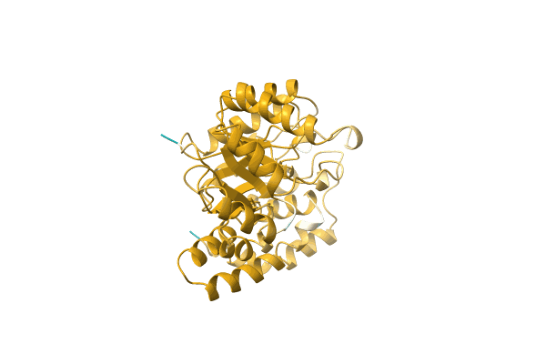 AF-P0CL20-F1 image