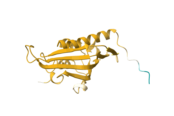 AF-P0CU74-F1 image