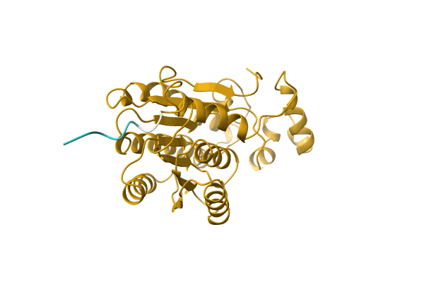 AF-P0CU75-F1 image