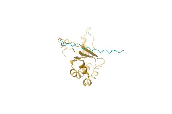 AF-P0CU76-F1 image