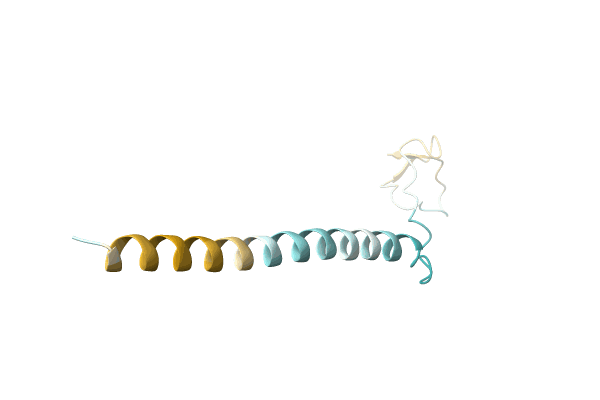 AF-P0CY62-F1 image