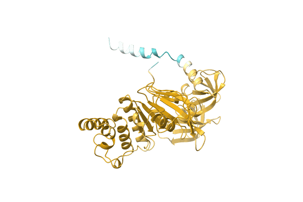 AF-P0CZ34-F1 image