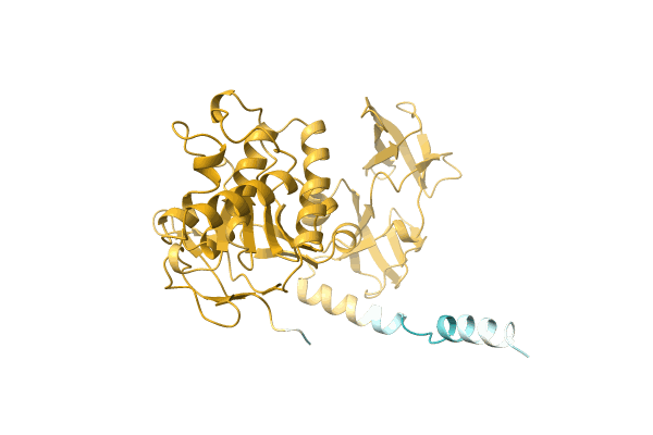 AF-P0CZ35-F1 image
