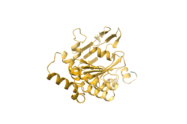 AF-P0CZ37-F1 image