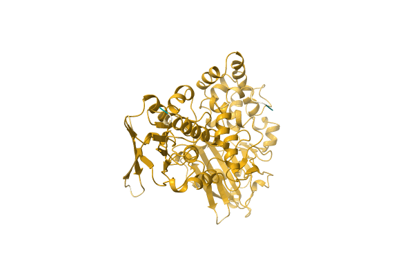AF-P0DI84-F1 image