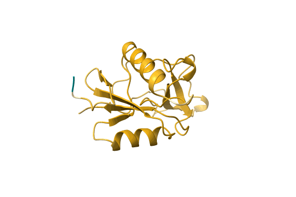 AF-P0DL30-F1 image