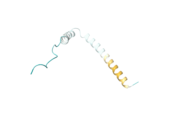 AF-P0DMJ0-F1 image