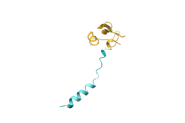 AF-P0DMJ5-F1 image