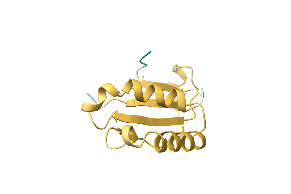 AF-P0DMJ7-F1 image