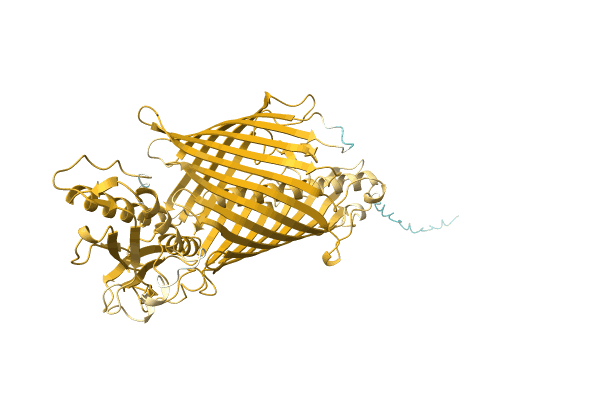 AF-P0DMJ8-F1 image