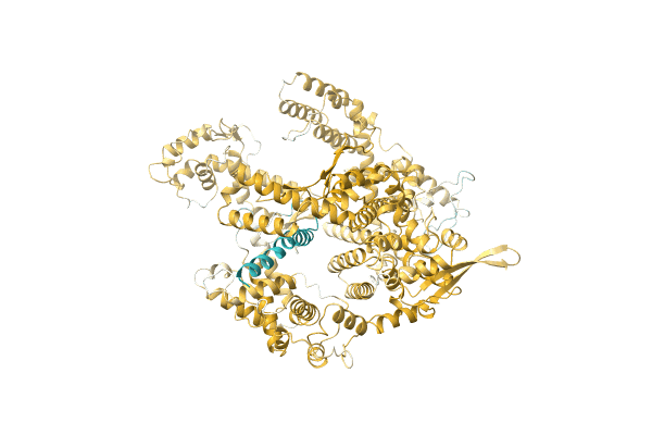 AF-P0DPB8-F1 image