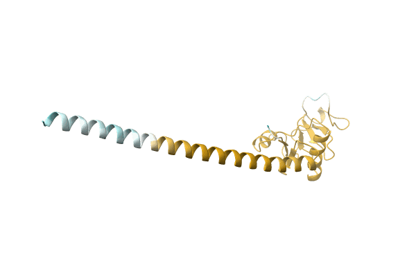 AF-P0DQP8-F1 image