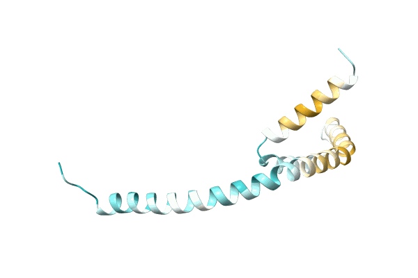 AF-P0DSK6-F1 image