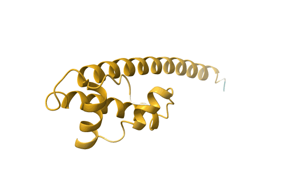 AF-P0DSM8-F1 image