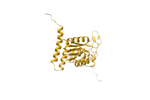 AF-P0DUD6-F1 image