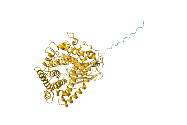 AF-P42042-F1 image