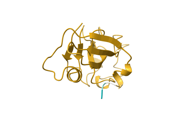 AF-P81702-F1 image