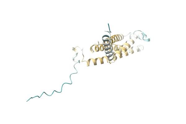 AF-Q00U99-F1 image