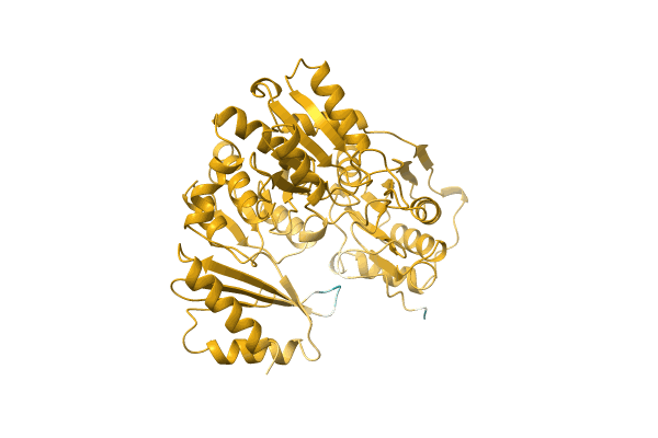 AF-Q01411-F1 image