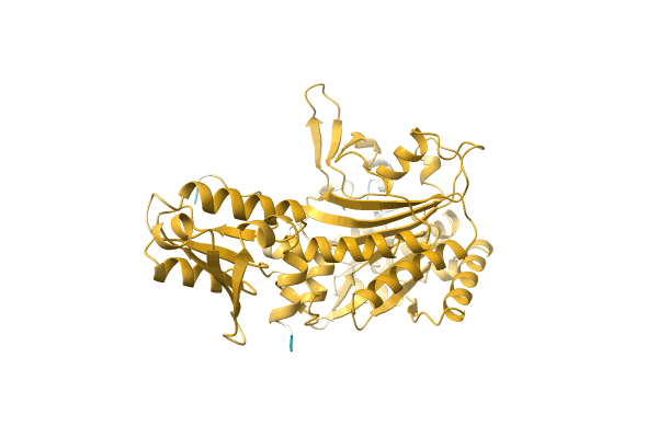 AF-Q03IB2-F1 image
