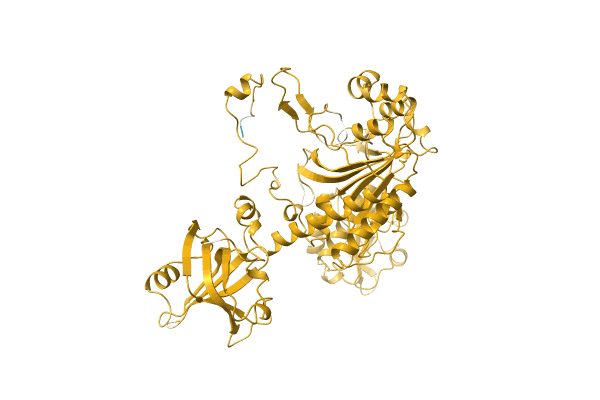 AF-Q03IB4-F1 image