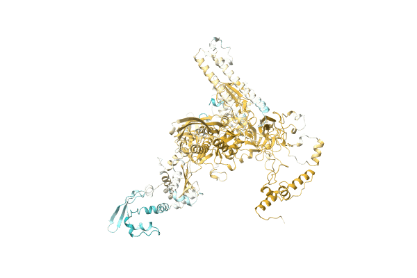 AF-Q05FH8-F1 image