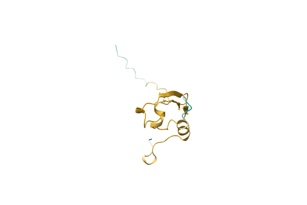 AF-Q05FI8-F1 image