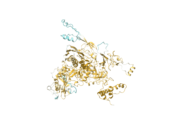 AF-Q06J17-F1 image