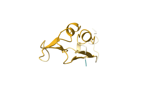 AF-Q06R79-F1 image