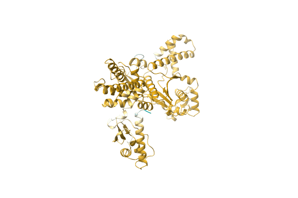 AF-Q0AU94-F1 image