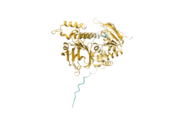 AF-Q0B1U4-F1 image