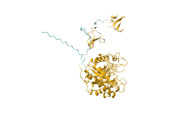 AF-Q12647-F1 image