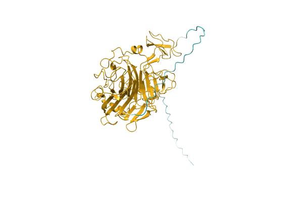 AF-Q12714-F1 image