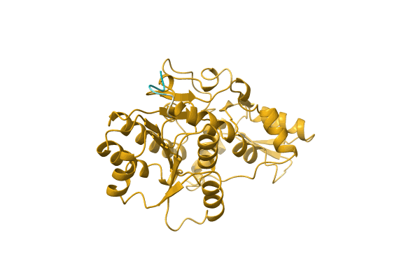 AF-Q15GI4-F1 image