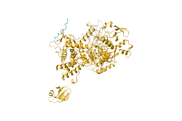AF-Q1B0U5-F1 image