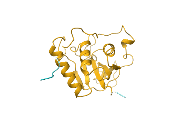 AF-Q1B1N8-F1 image